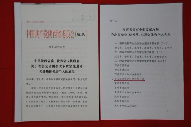 2009年2月，，，，，被陕西省委、省政府授予陕西省国有企业刷新攻坚先进整体